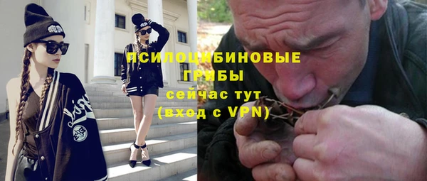 твердый Козловка
