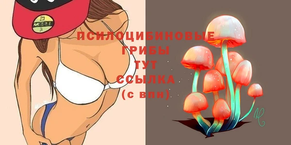 бошки Козельск