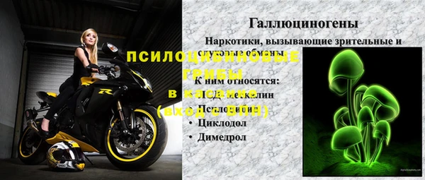 бошки Козельск