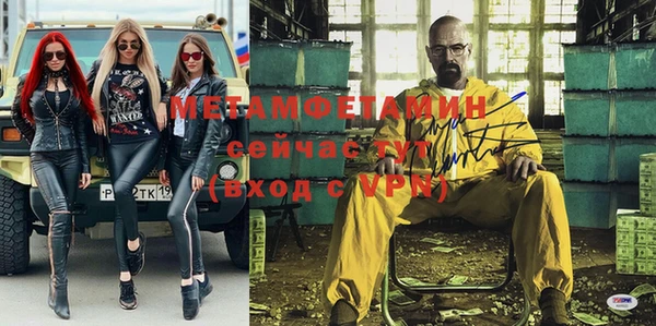 индика Медвежьегорск