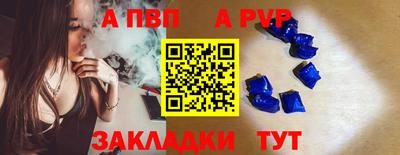 мет Кингисепп
