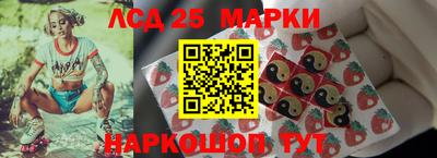 мет Кингисепп