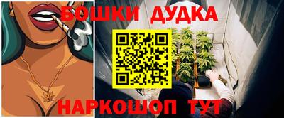 мет Кингисепп