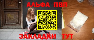 мет Кингисепп