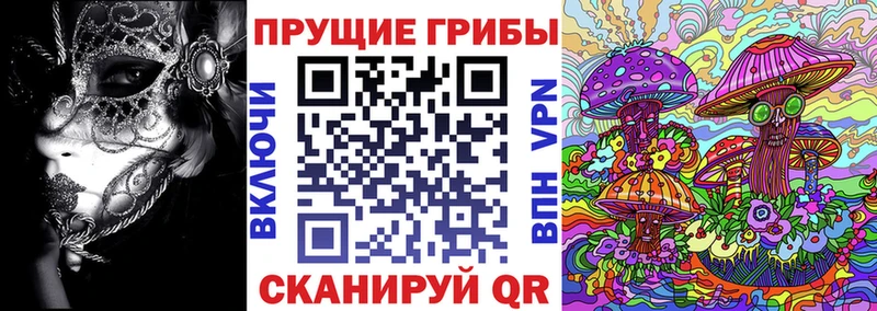 МЕГА зеркало  Красноармейск  Галлюциногенные грибы прущие грибы 