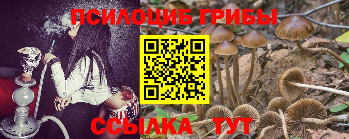 Галлюциногенные грибы Magic Shrooms  Псилоцибиновые грибы мицелий  Вход с VPN  Красноармейск 